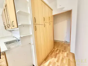Pronájem bytu 1+1, Český Těšín, Hrabinská, 40 m2