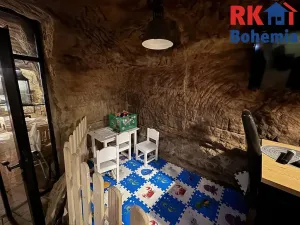 Pronájem restaurace, Mladá Boleslav, Ptácká, 410 m2