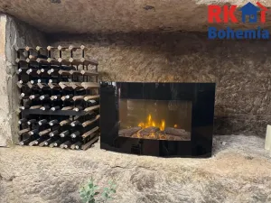 Pronájem restaurace, Mladá Boleslav, Ptácká, 410 m2