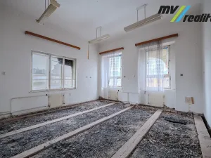 Prodej obchodního prostoru, Český Dub, Husova, 996 m2