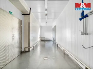 Pronájem obchodního prostoru, Červený Kostelec, Sokolská, 726 m2