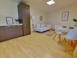 Prodej bytu 2+kk, Brno, Ríšova, 53 m2