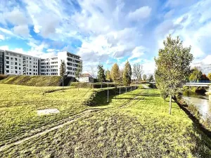 Pronájem bytu 1+kk, Brno - Horní Heršpice, Jižní, 43 m2