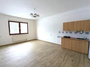 Pronájem bytu 1+kk, Litvínov, Koldům, 32 m2