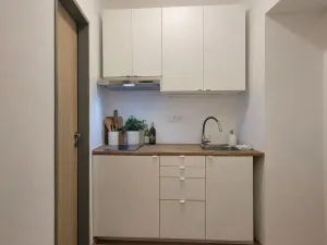 Pronájem bytu 1+kk, Brno, Francouzská, 25 m2