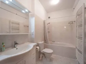 Pronájem bytu 2+kk, Olomouc, Masarykova třída, 52 m2