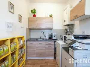 Prodej rodinného domu, Brno, Blatného, 265 m2