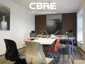 Pronájem kanceláře, Praha - Nové Město, Václavské náměstí, 320 m2