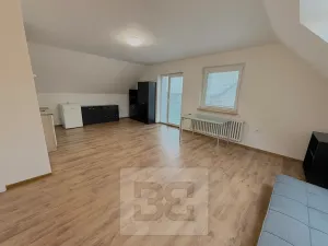 Pronájem atypického bytu, Praha - Stodůlky, Frimlova, 196 m2