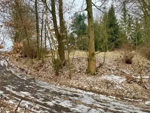 Prodej pozemku pro bydlení, Pertoltice pod Ralskem, 1796 m2