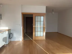 Pronájem bytu 1+kk, Brno, Podveská, 43 m2