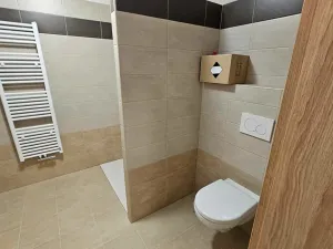 Pronájem bytu 1+kk, Chlumec nad Cidlinou, 45 m2