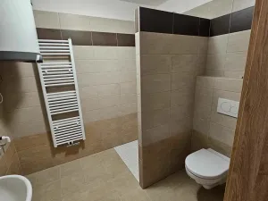 Pronájem bytu 1+kk, Chlumec nad Cidlinou, 45 m2