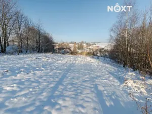 Prodej rodinného domu, Potštát, 26 m2