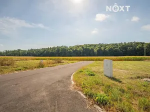 Prodej pozemku pro bydlení, Stavenice, 736 m2