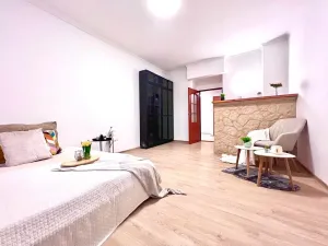 Prodej bytu 1+1, Praha - Žižkov, Biskupcova, 29 m2