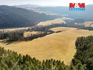 Prodej louky, Malenice, 36014 m2