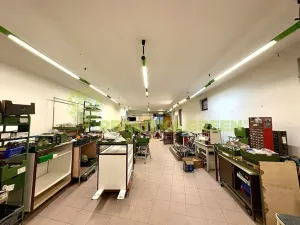 Pronájem obchodního prostoru, Napajedla, Palackého, 180 m2