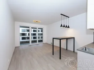 Prodej bytu 1+kk, Praha - Hloubětín, Poděbradská, 32 m2