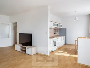 Pronájem bytu 1+kk, Milovice, 44 m2
