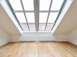 Pronájem bytu 4+kk, Praha - Vinohrady, Laubova, 273 m2