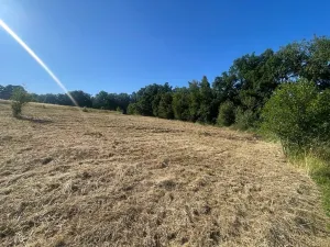 Prodej pozemku pro bydlení, Buš, 1284 m2