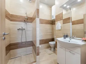 Prodej podílu vícegeneračního domu, Brno, Drobného, 242 m2