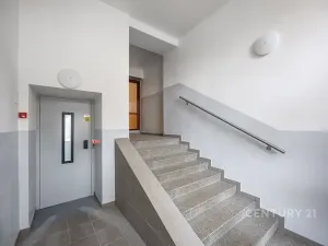 Prodej bytu 2+1, Plzeň, Ořechová, 68 m2