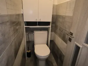 Prodej bytu 1+1, Chlumec, Stradovská, 45 m2