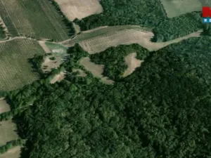 Pronájem pole, Horní Věstonice, 4000 m2