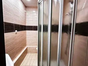 Prodej bytu 1+1, Orlová, Lesní, 37 m2