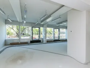 Pronájem kanceláře, Praha - Nusle, Lomnického, 44 m2