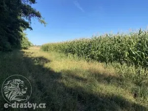 Dražba pole, Oseček, 83999 m2