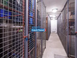 Pronájem bytu 1+kk, Šumperk, Vrchlického, 20 m2