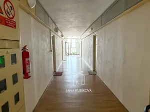 Prodej bytu 2+kk, Brno, Vychodilova, 38 m2