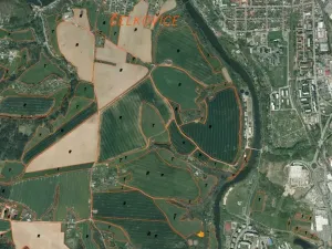 Dražba louky, Tábor, 1007 m2