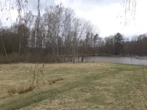 Dražba louky, Chlum u Třeboně, 6727 m2