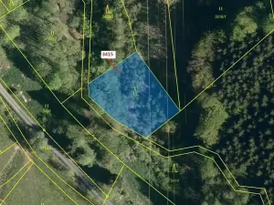 Dražba lesa, Zděchov, 1093 m2