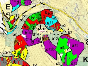 Dražba lesa, Český Dub, 1217 m2