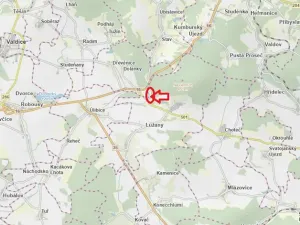 Prodej lesa, Lužany, 2098 m2