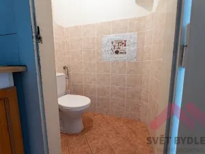 Pronájem bytu 2+kk, Praha - Dejvice, Zelená, 49 m2