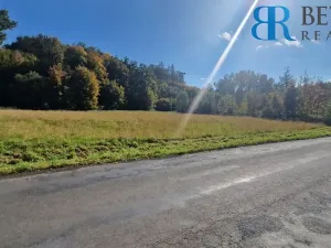 Prodej pozemku pro bydlení, Přerov, 14217 m2