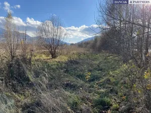 Prodej pozemku pro bydlení, Frýdlant nad Ostravicí, Havlíčkova, 6279 m2