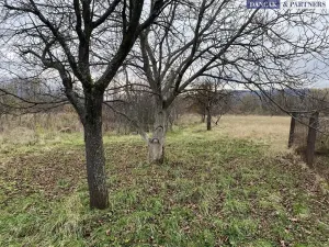 Prodej pozemku pro bydlení, Frýdlant nad Ostravicí, Havlíčkova, 6279 m2