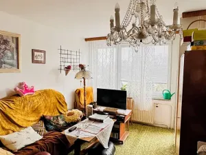 Prodej rodinného domu, Brno, Kupkova, 176 m2