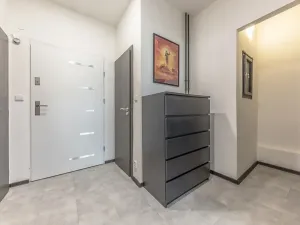 Prodej bytu 1+1, Praha - Podolí, Nedvědovo náměstí, 37 m2