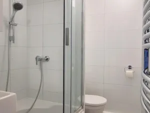 Pronájem bytu 1+1, Rokytnice v Orlických horách, Sídliště 1. máje, 32 m2