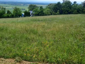 Prodej pole, Olomouc - Droždín, 1419 m2