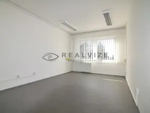 Pronájem kanceláře, České Budějovice, Rudolfovská tř., 101 m2