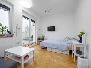 Prodej bytu 1+1, Praha - Žižkov, Baranova, 34 m2